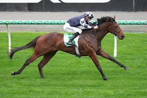 O'BRIEN DEBUTANT PROVES THEORY WORKS